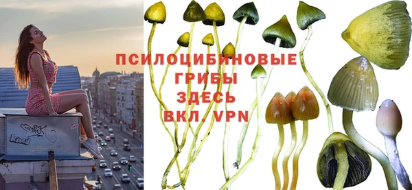 эйфоретик Бугульма